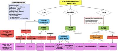 The effect of an intraoperative patient-specific, surgery-specific haemodynamic algorithm in improving textbook outcomes for hepatobiliary–pancreatic surgery: a multicentre retrospective study